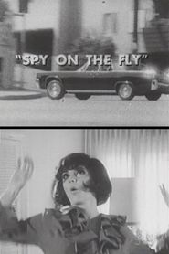Spy on the Fly 