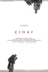 Çınar 