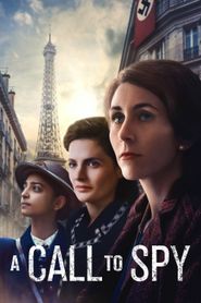 A Call to Spy series tv
