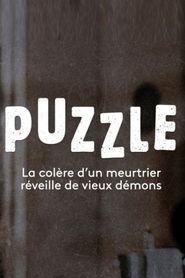 Puzzle series tv