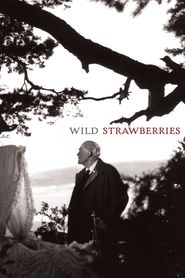 Les Fraises sauvages 