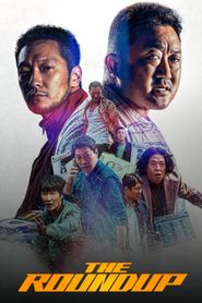 The Roundup series tv