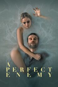 A Perfect Enemy series tv