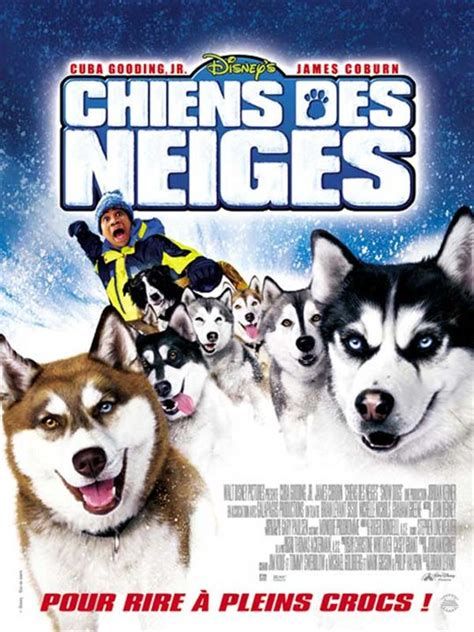 Un hiver de chiens