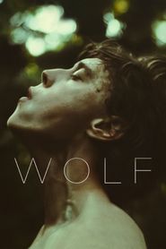 Wolf series tv