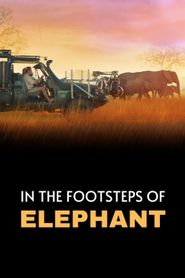 Sur la route des éléphants series tv