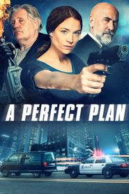 Le Plan Parfait series tv