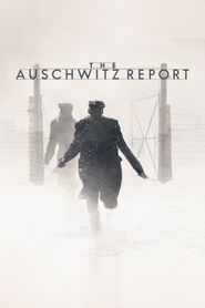 Le Rapport Auschwitz 