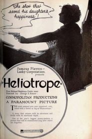 Heliotrope 