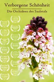 Verborgene Schönheit: Die Orchideen des Saaletals 