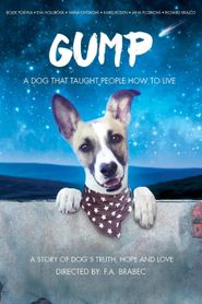 Gump – pes, který naučil lidi žít 