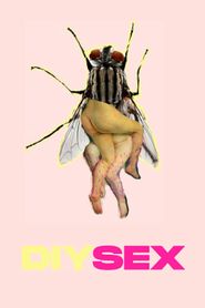 DIYSEX 