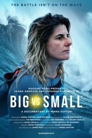 Big vs. Small 