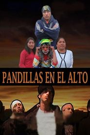 Pandillas en El Alto 