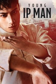 Ip Man : Naissance d\'un combattant series tv