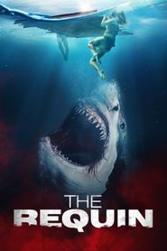 The Requin series tv