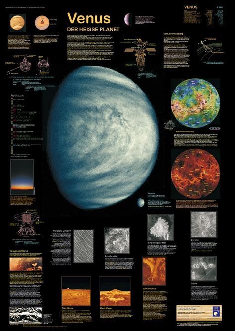 The Venus Project