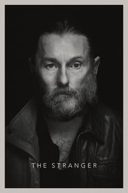 The Stranger series tv