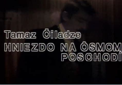 Hniezdo na ôsmom poschodí 