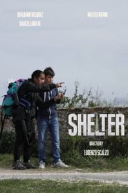 Shelter 