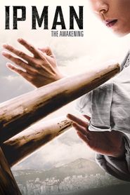 Ip Man : L\'Éveil du Maître series tv