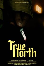 True North 