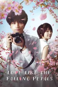 Love Like the Falling Petals 