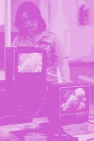 Not For Sale: Feminism and Art in the USA during the 1970s 