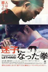 迷子になった拳 