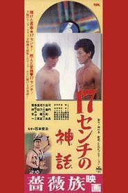 １７センチの神話 
