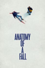 Anatomie d\'une chute series tv