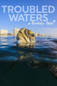 Troubled Waters: A Turtle's Tale 