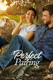 Un accord parfait series tv