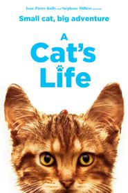 Mon chat et moi, la grande aventure de Rroû series tv