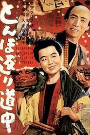 とんぼ返り道中 