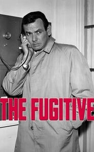 Le Fugitif movie