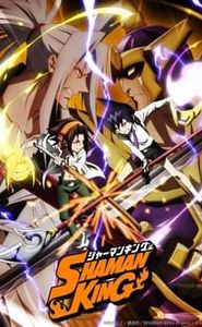 Shaman King movie