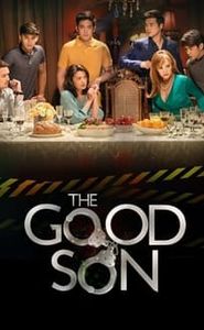 The Good Son movie