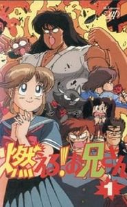 燃える！お兄さん movie