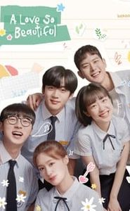 A Love So Beautiful (Korean) movie