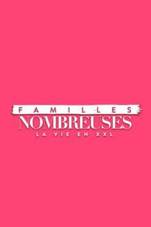 Familles nombreuses : la vie en XXL movie