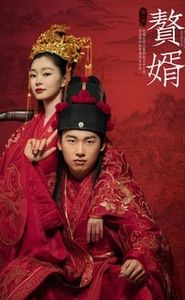 赘婿 movie