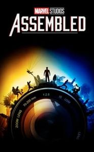 Marvel Studios : Rassemblement movie