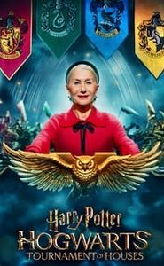 Harry Potter : le tournoi des quatre maisons streaming vf