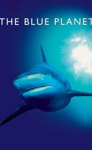 Au cœur des océans - La Planète bleue movie