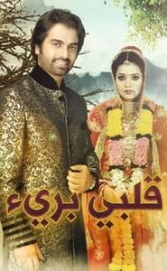 Do Dil Bandhe Ek Dori Se movie