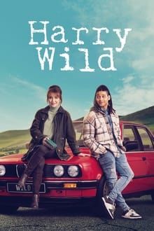Harry Wild movie
