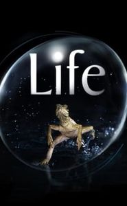 Life, l'aventure de la vie movie