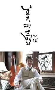 美の壺 movie