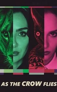 Les Ailes de l’Ambition movie